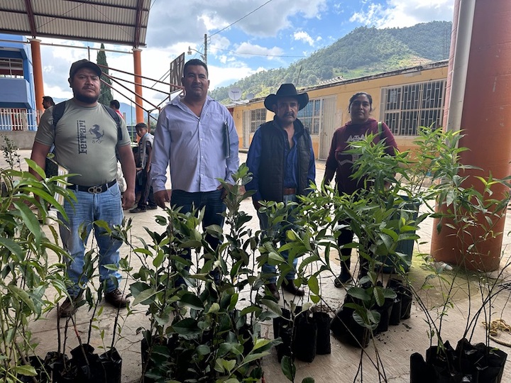 Atiende Reforesta Oaxaca instituciones educativas de San Miguel Peras