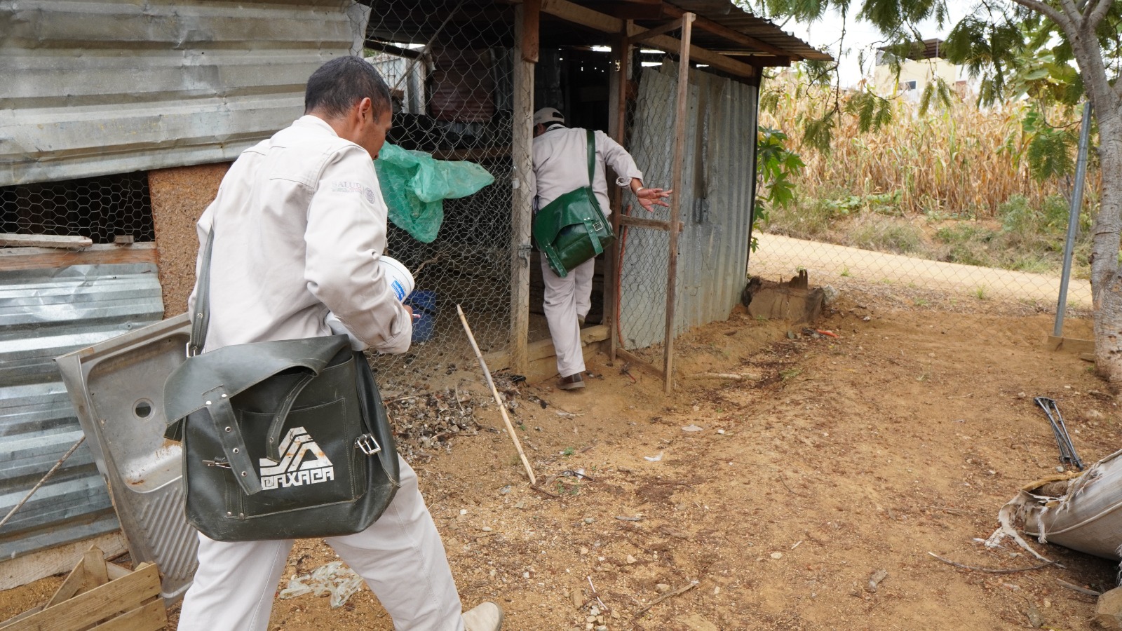 Contabiliza SSO 61 casos nuevos de dengue