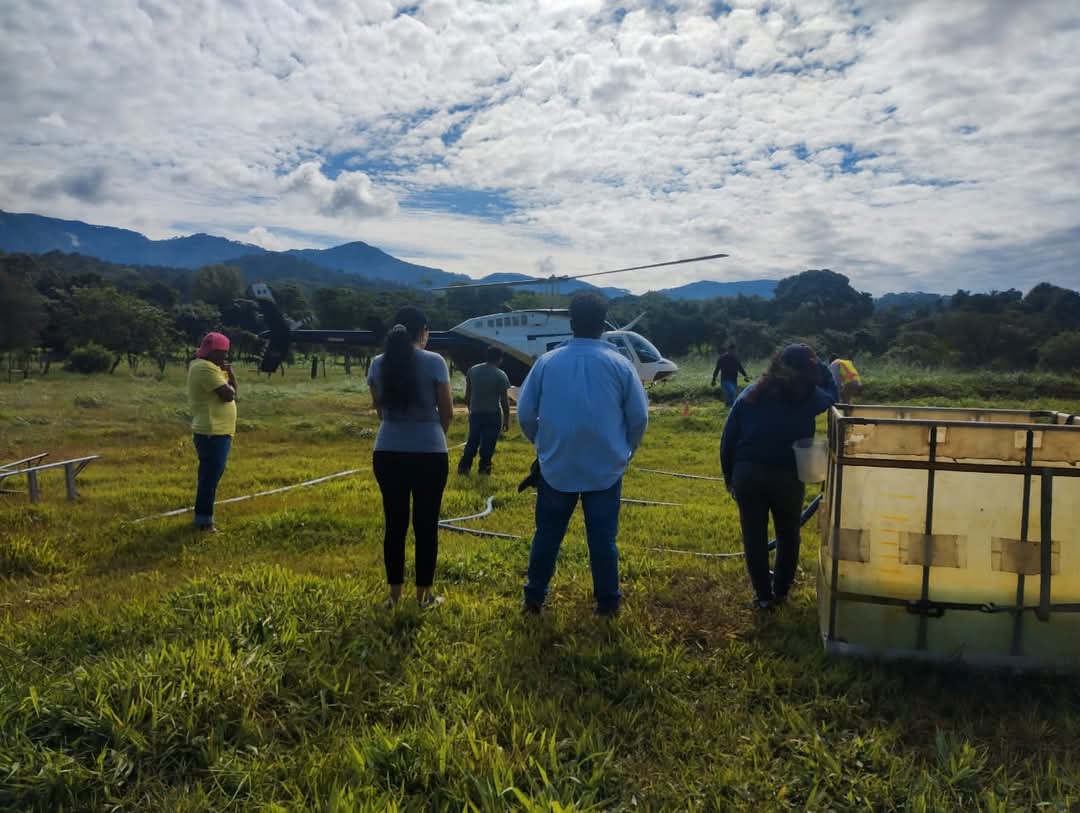 Combate Coesfo plagas forestales en Santa María Zacatepec