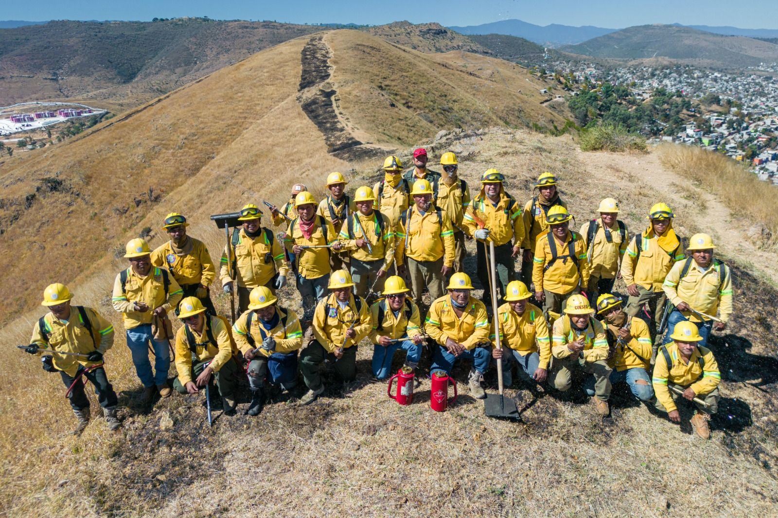 Con apertura de línea negra, protege Coesfo reforestación en Monte Albán