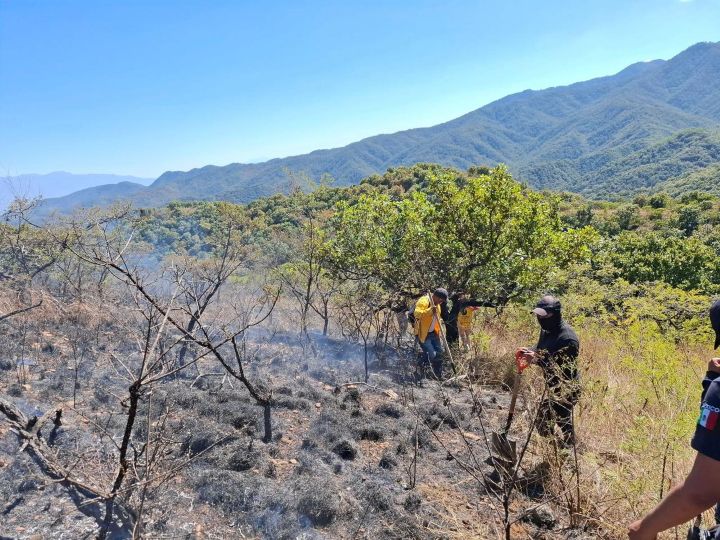 Liquidan incendio forestal en San Pablo Huitzo