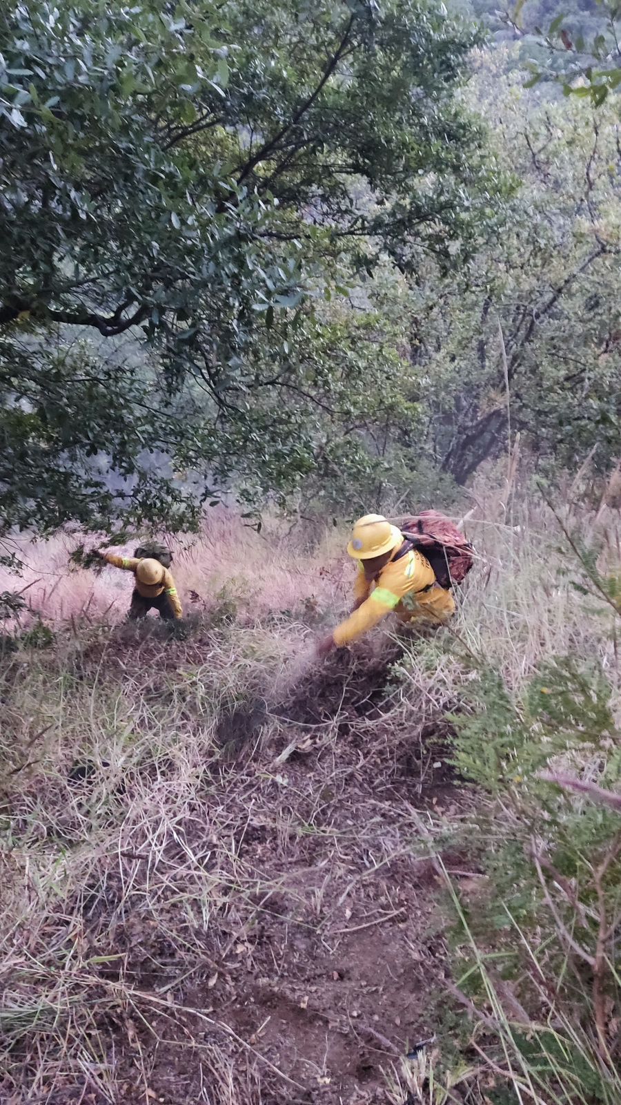 Controlado y entregado incendio forestal en Santa Inés del Monte