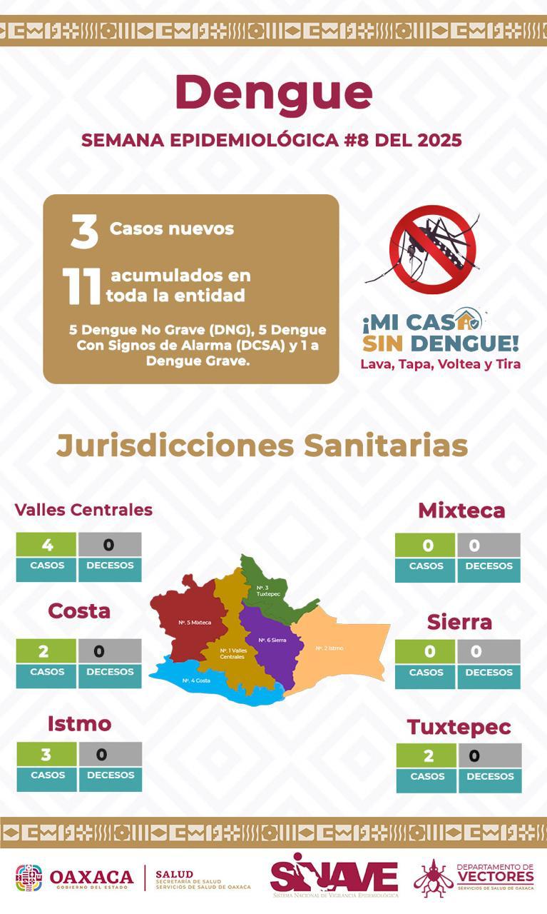 Registran tres casos nuevos de dengue, suman 11 en toda la entidad