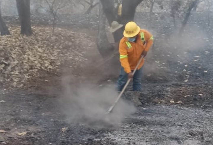 Liquida Coesfo incendio forestal en Santiago Tamazola