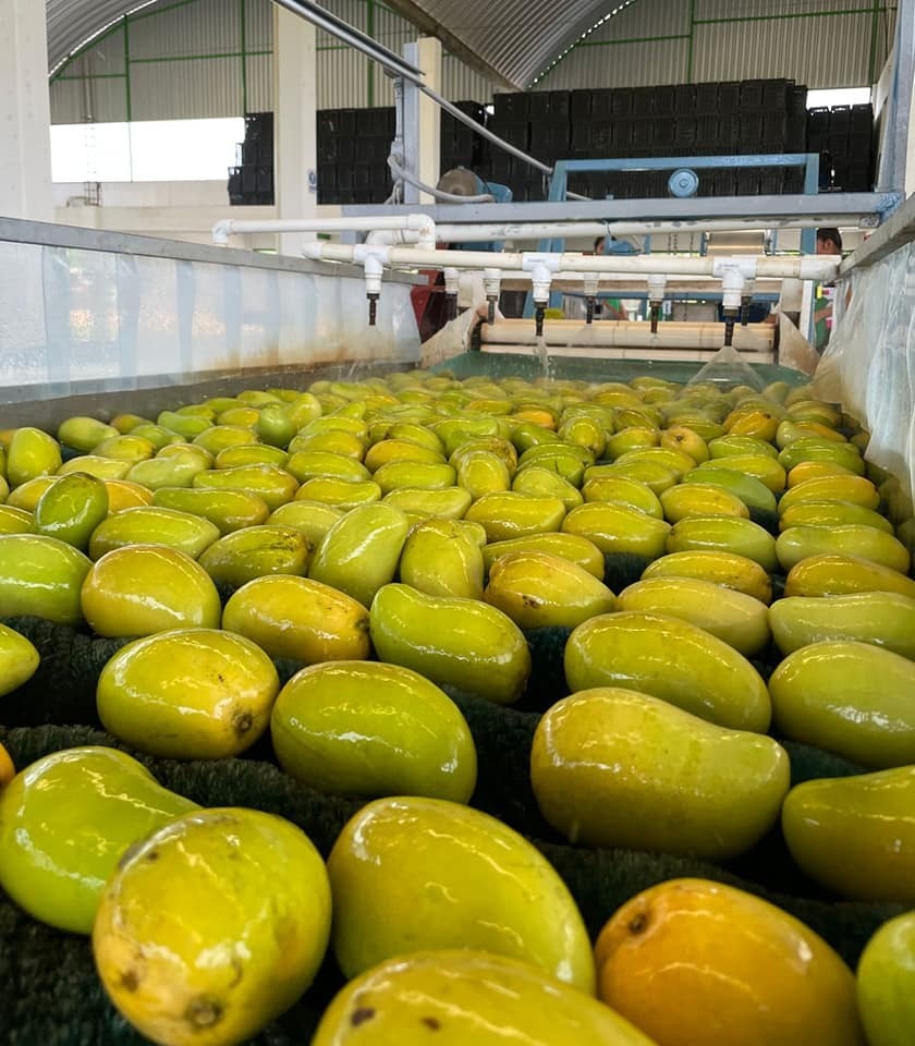 Impulsará Sefader diversificación de mercados para comercializar productos del campo