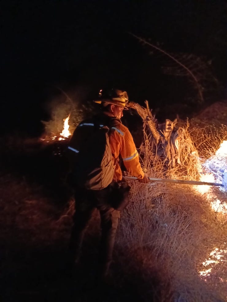 Controla Coesfo incendio forestal en Reforma de Pineda