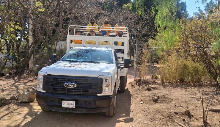Atiende Coesfo reporte de incendio forestal en Ixtlán de Juárez