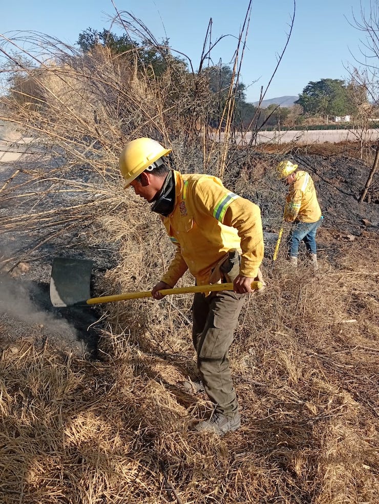 Atiende Coesfo incendios forestales en Huautla de Jiménez y Ejutla de Crespo