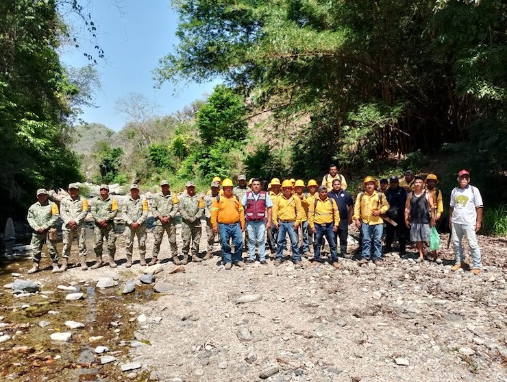 Controla Coesfo incendio forestal en San Pedro Pochutla