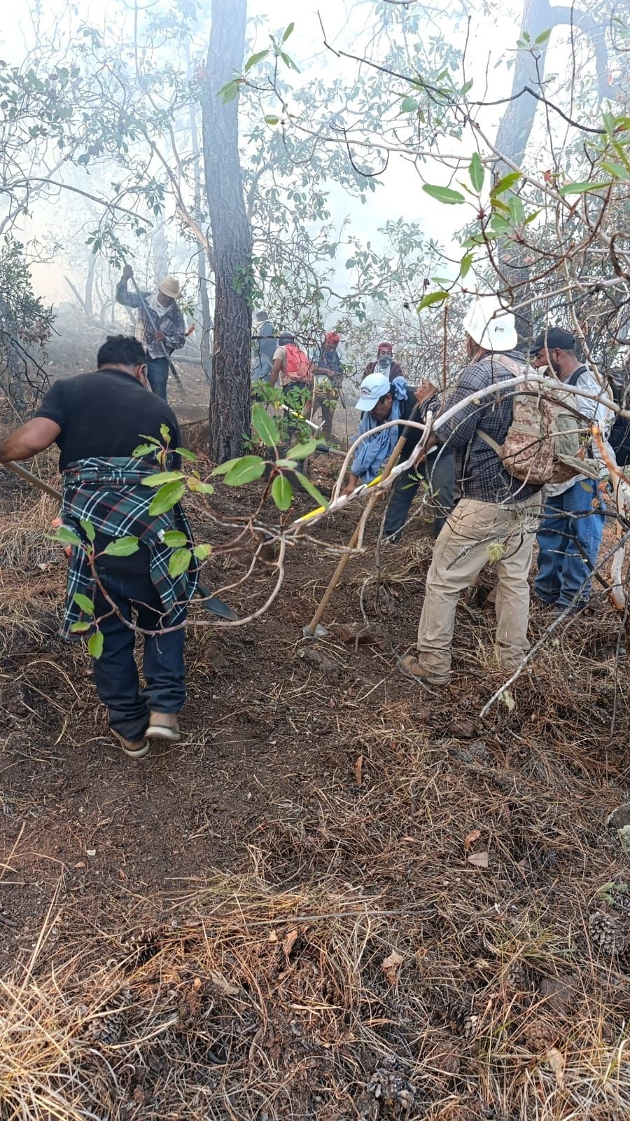Atiende Gobierno del Estado incendio forestal en Tlaxiaco