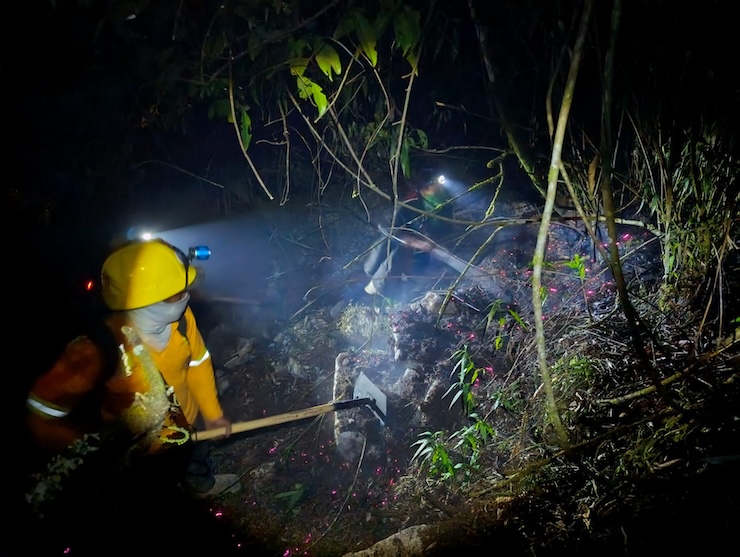 Controla Coesfo incendio forestal en Huautla de Jiménez