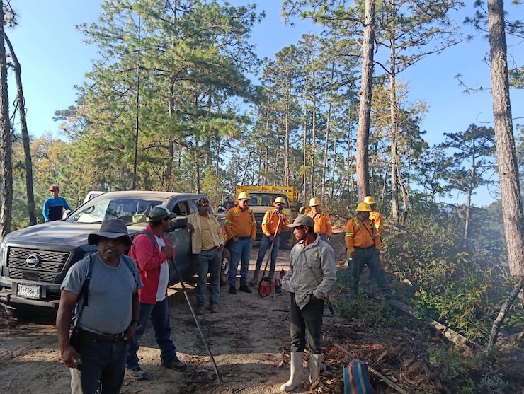 Liquidan incendio forestal en el paraje La Ciénega, San Miguel Chimalapa