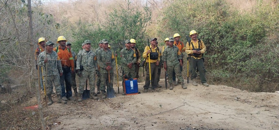 Controla Coesfo en San Pedro Pochutla incendio forestal