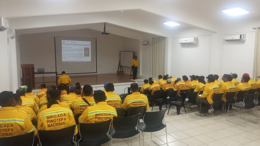 Capacita Coesfo 8 brigadas de apoyo para atender incendios forestales en Oaxaca