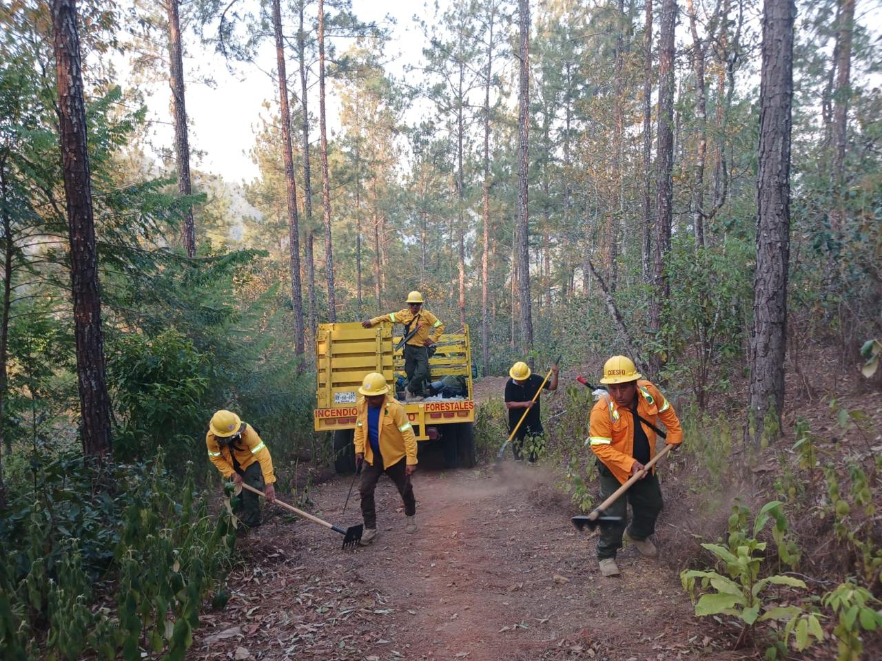 Reporta Coesfo control total de incendio forestal en San Juan Cotzocón