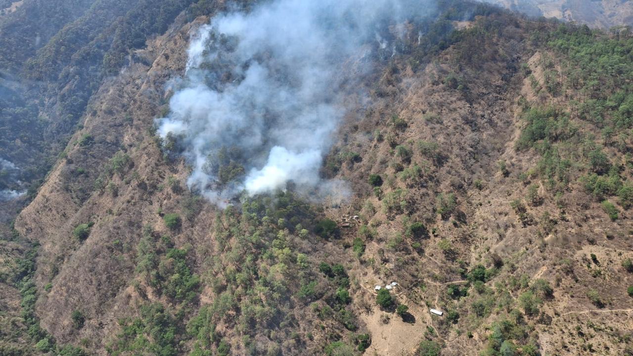 Controla Coesfo incendio forestal en Santiago Amoltepec