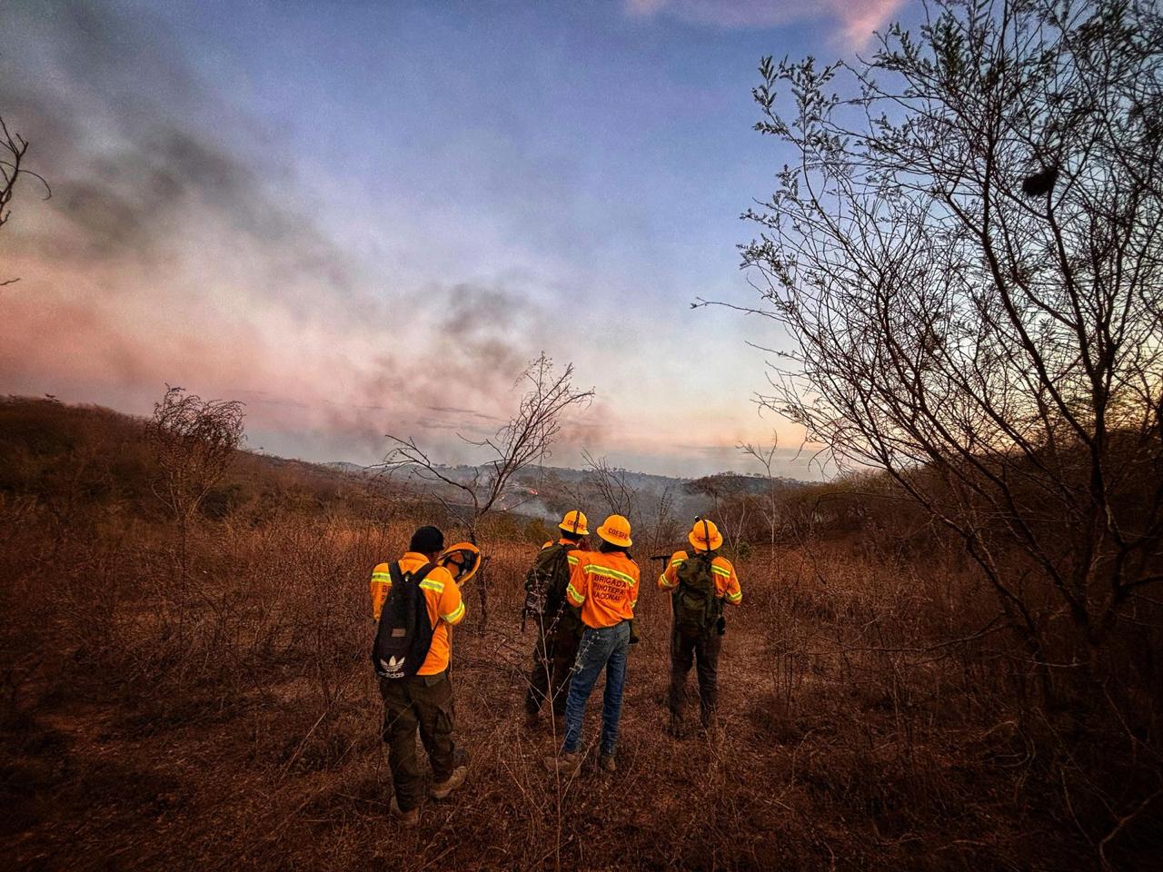 Coesfo liquida y controla incendios en Santiago Amoltepec y Pinotepa Nacional