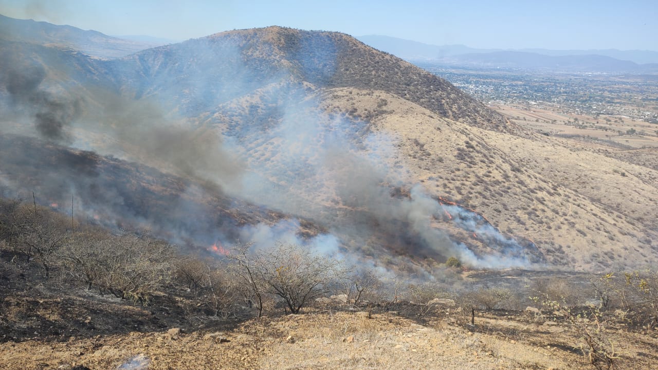 Atiende Coesfo incendio forestal en San Pablo Huixtepec