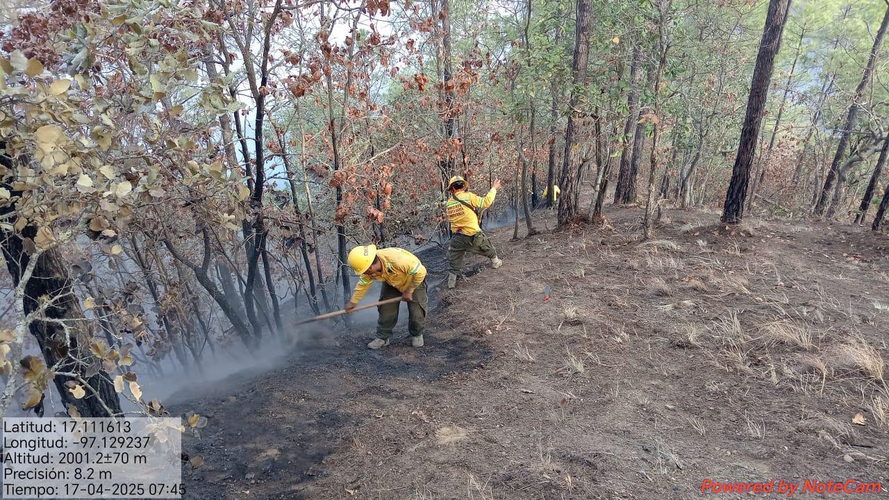 Reporta Coesfo control de incendio forestal en San Juan Tamazola