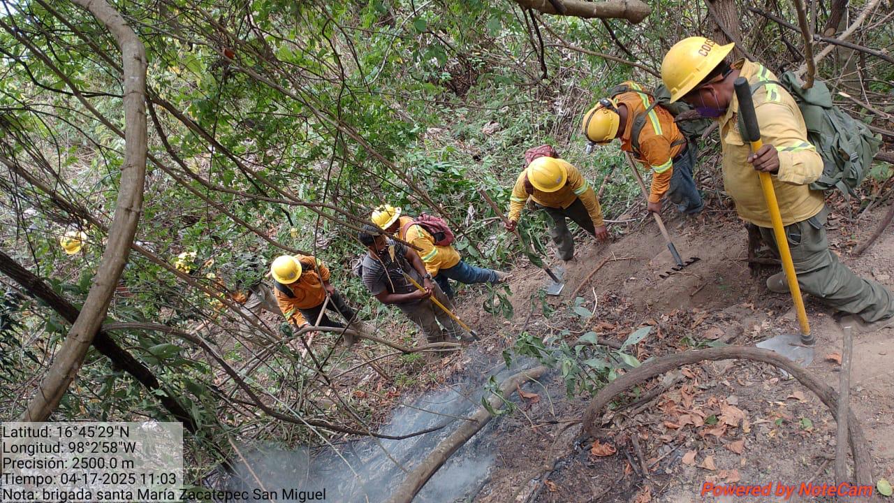 Controla Gobierno de Oaxaca incendio forestal en Santa María Zacatepec