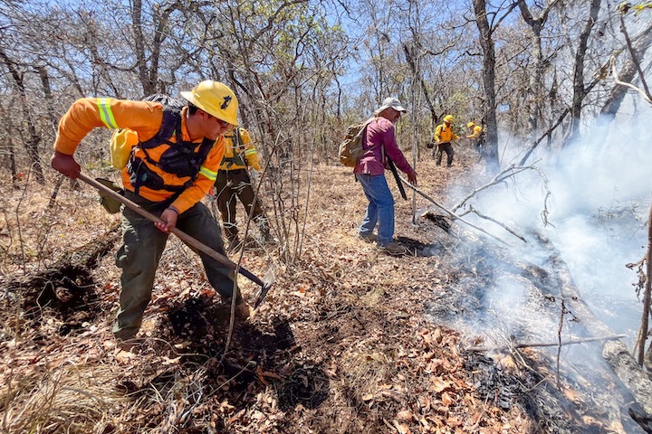 Liquida Coesfo incendio forestal en límites de San Vicente Coatlán y Yogana