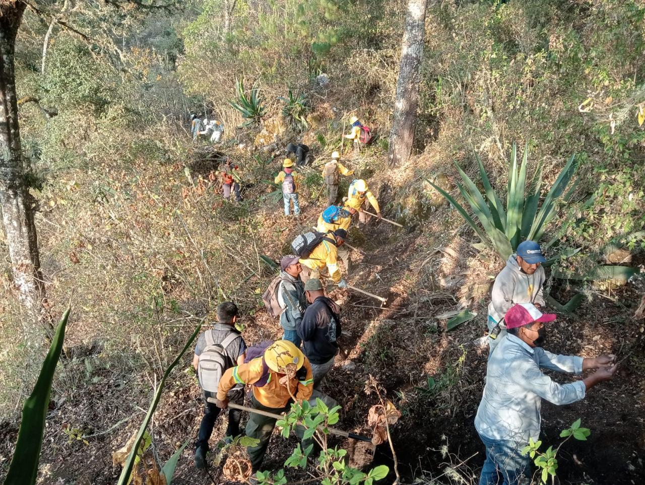 Controlado incendio forestal en San Esteban Atatlahuca