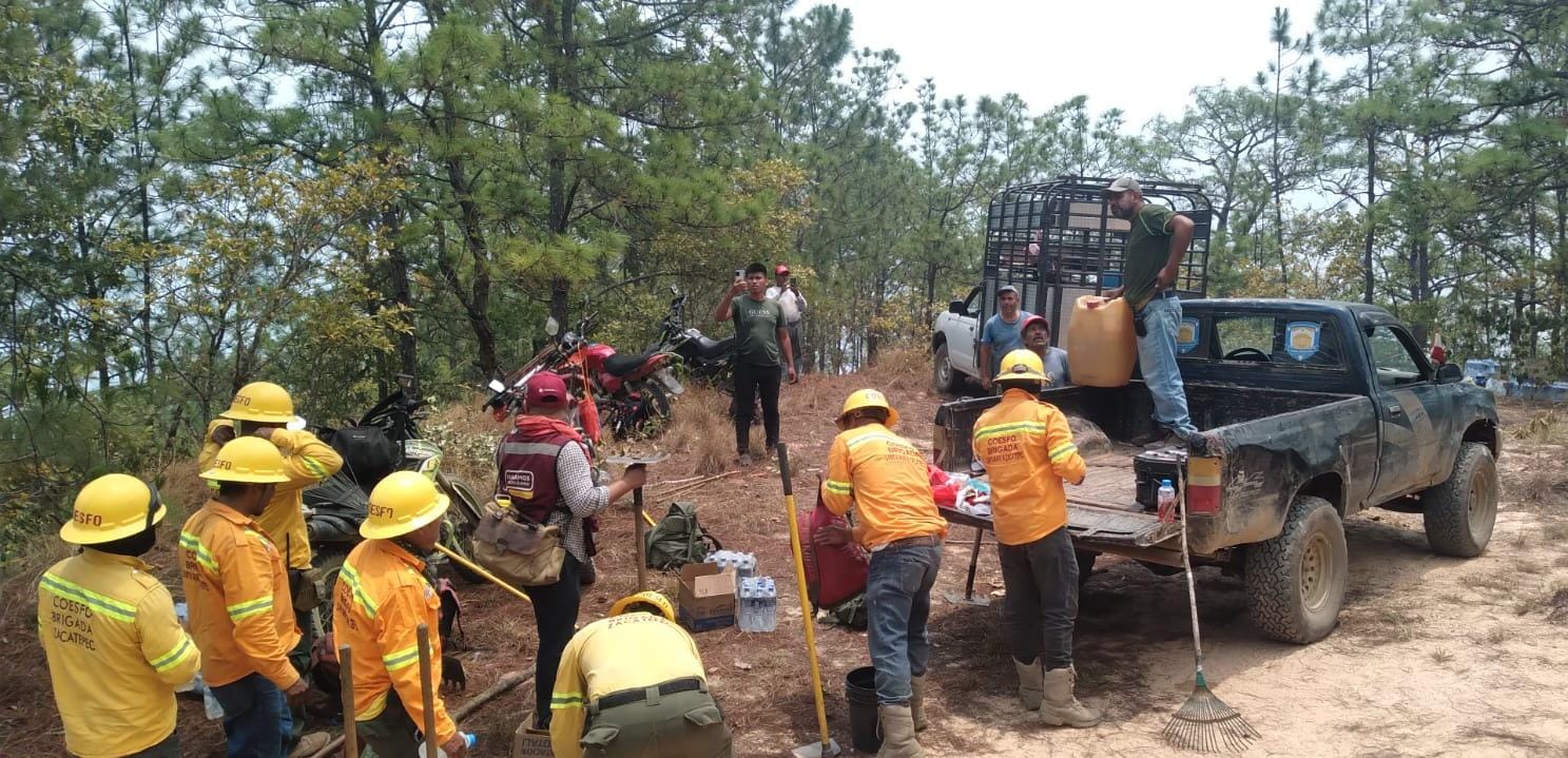 Reporta Coesfo avance del 80 % en control del incendio forestal en Putla Villa de Guerrero