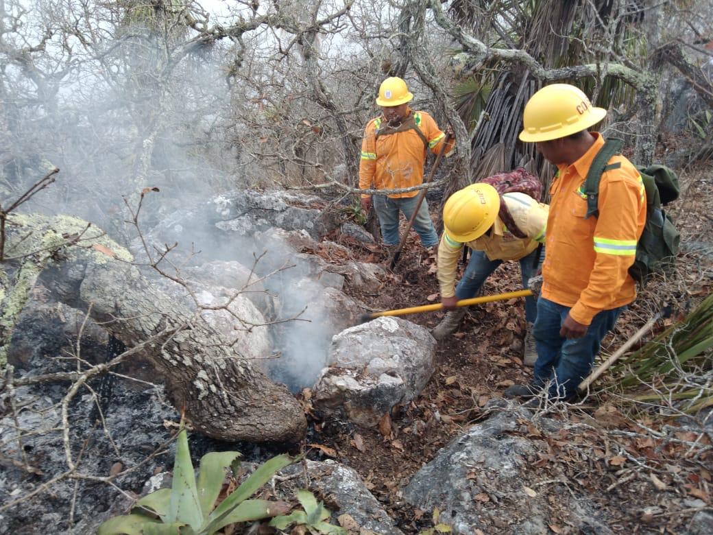 Controla Coesfo incendio forestal intermunicipal en la Sierra Sur