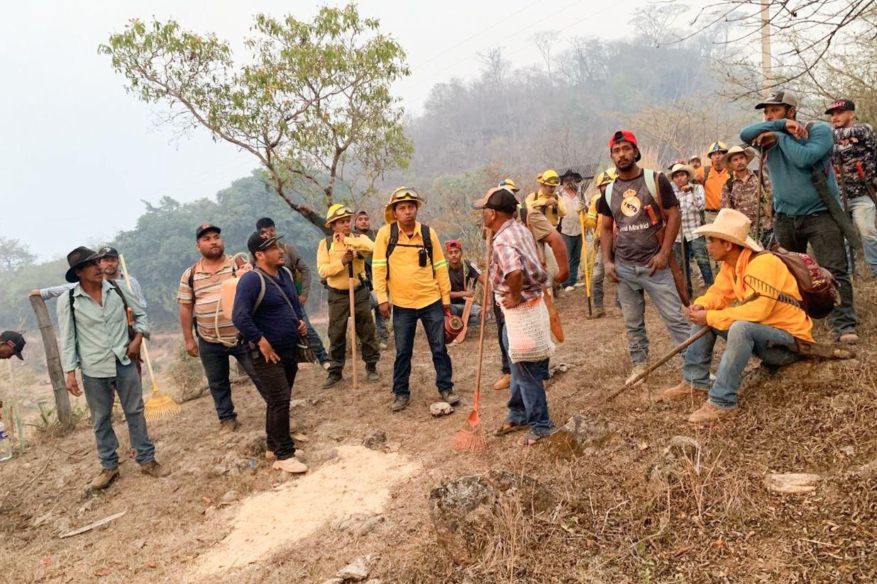 Atiende Coesfo incendio forestal en límites de Santiago Minas y Santa Catarina Juquila