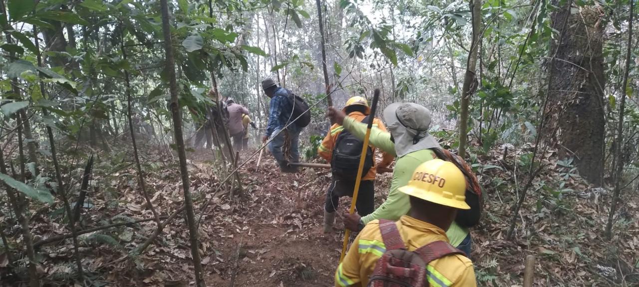 Reporta Coesfo control de incendio forestal en Putla Villa de Guerrero