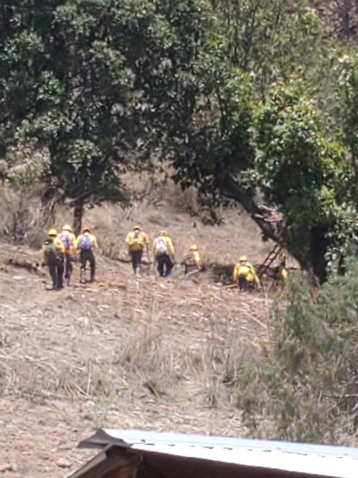 Atiende Coesfo incendio forestal en San Juan Mixtepec