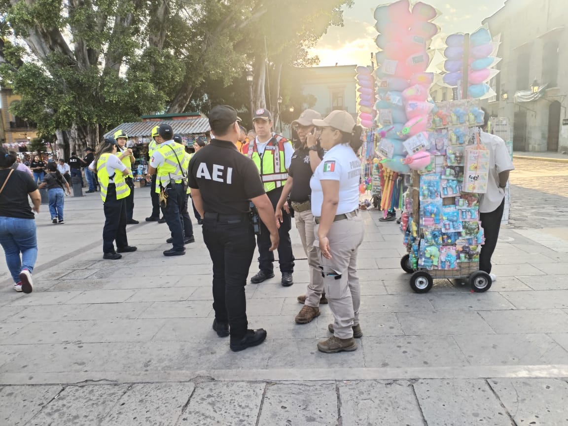 Culmina sin incidentes concierto de Molotov en la Alameda de León