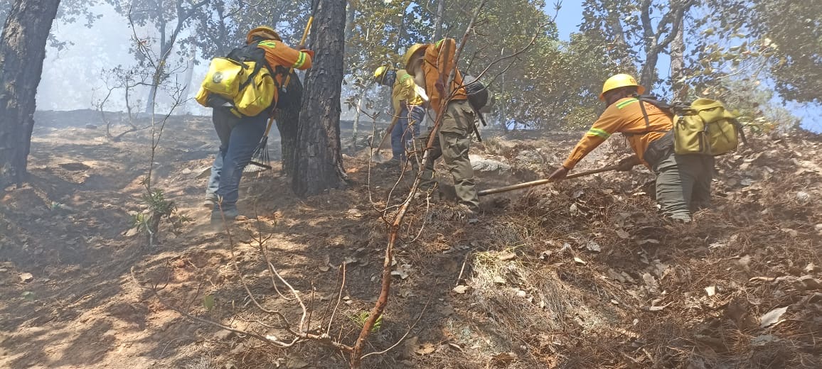 Controla Coesfo incendio forestal en San Juan Mixtepec