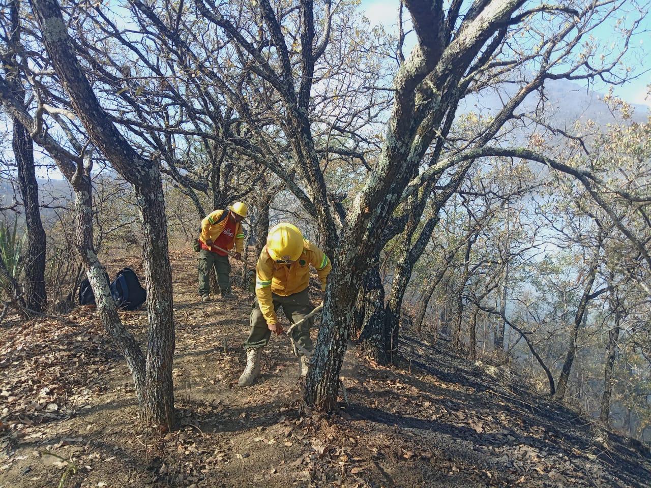 Controla Coesfo incendio forestal en Asunción Tlacolulita