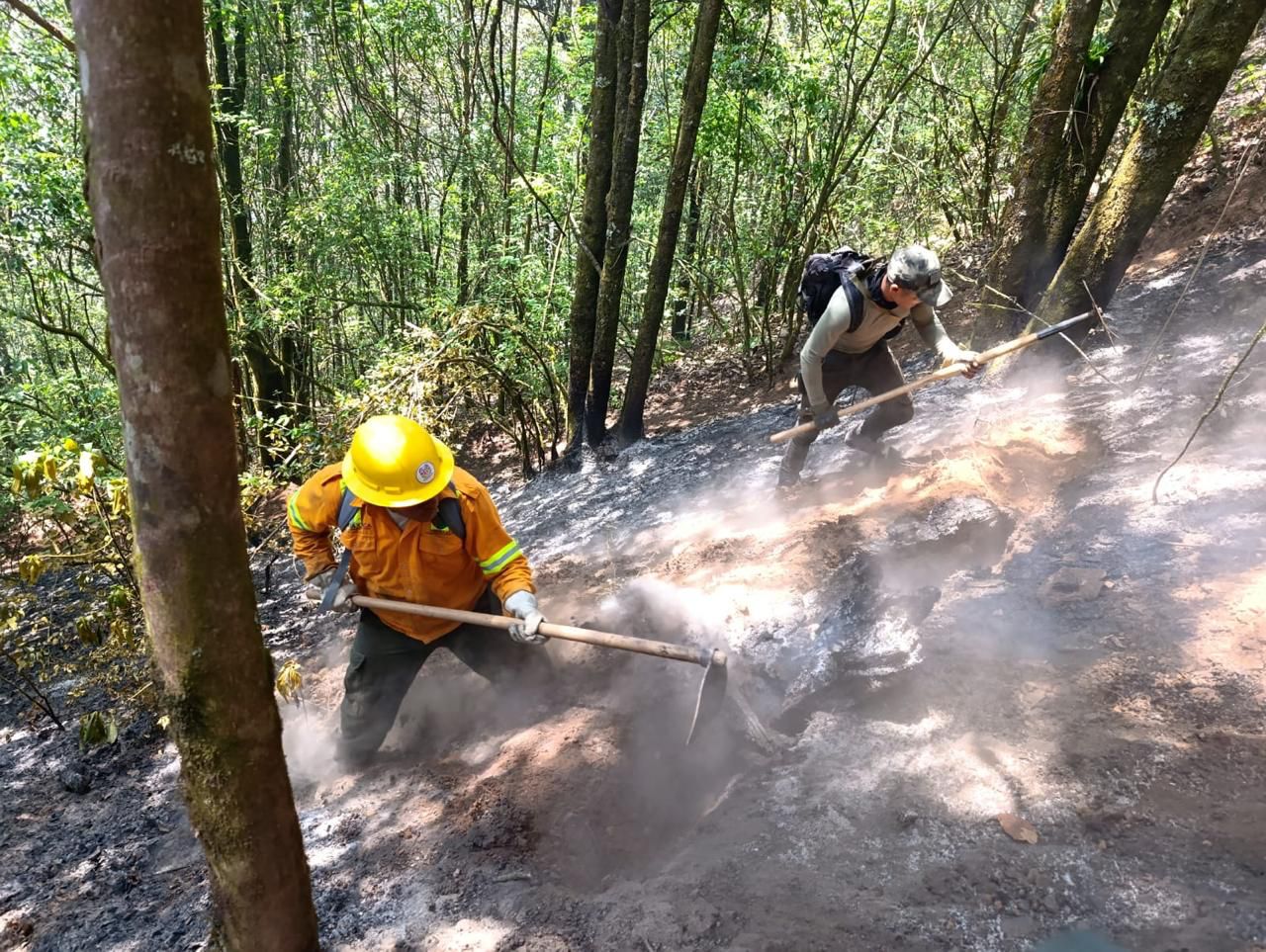 Controla Coesfo incendio forestal en Cuyamecalco Villa de Zaragoza