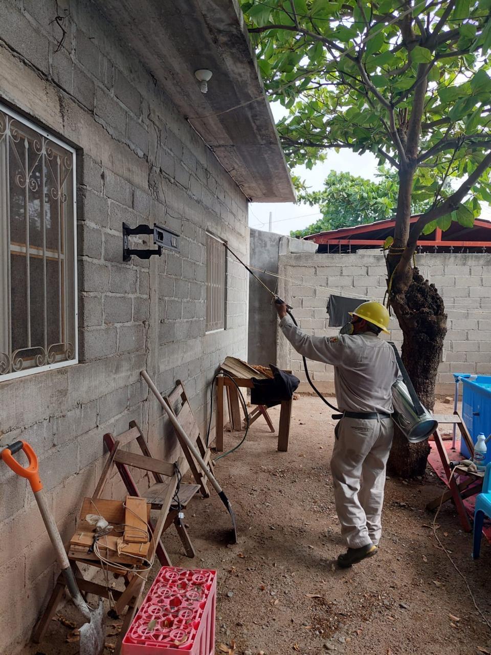 Registra Oaxaca 3 semanas sin casos nuevos de dengue