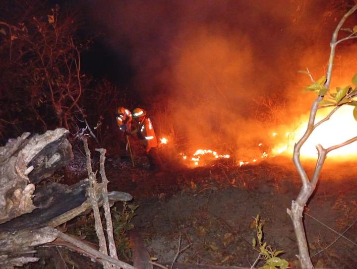 Continúa atención de incendio forestal en límites de San Juan Quiahije y Santa Catarina Juquila