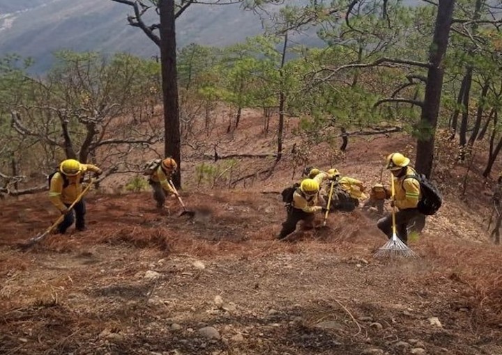 Reporta Coesfo control de incendio forestal en Santiago Minas y Santa Catarina Juquila