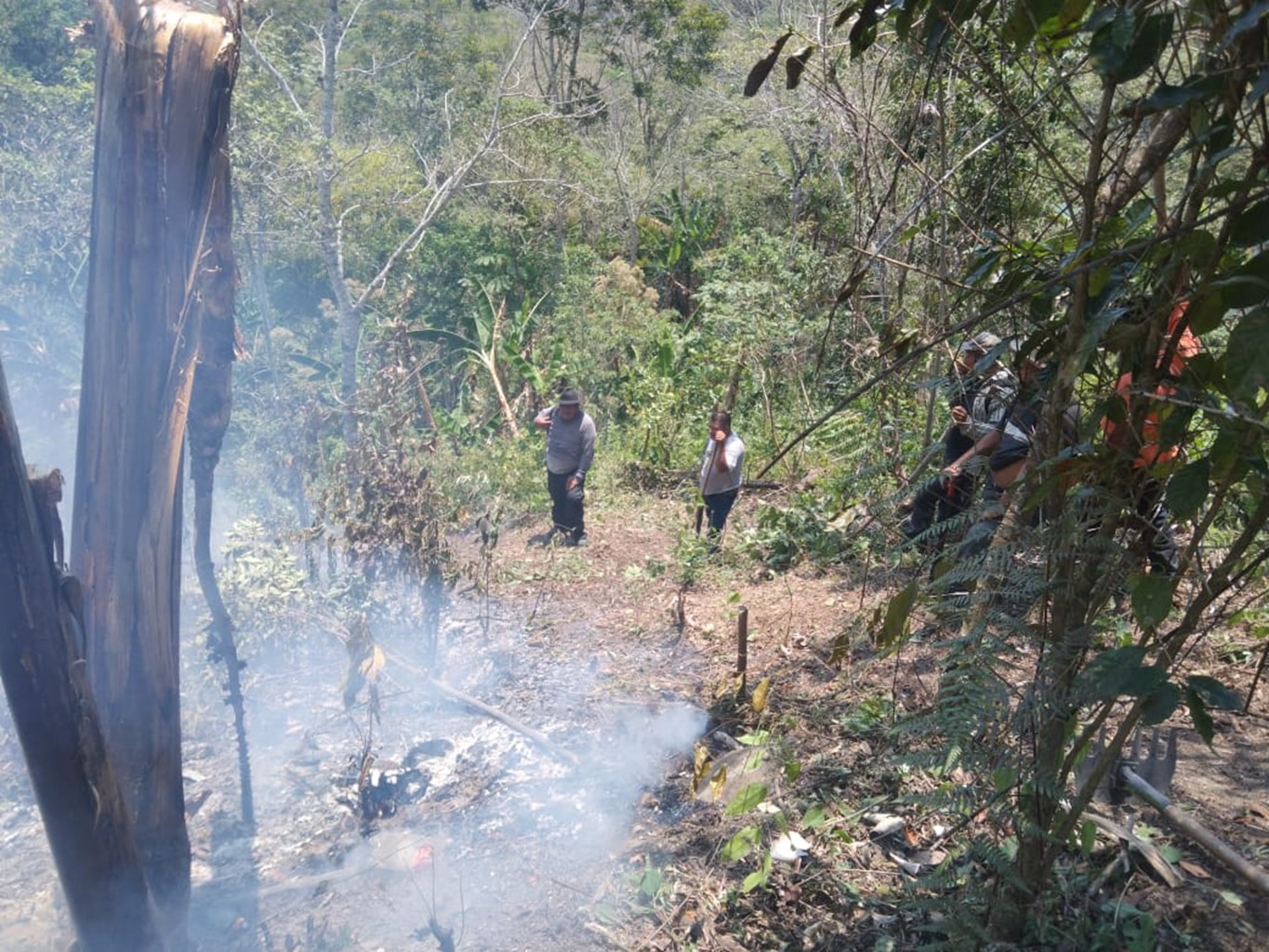 Controla Coesfo incendio forestal en San Isidro Huayápam