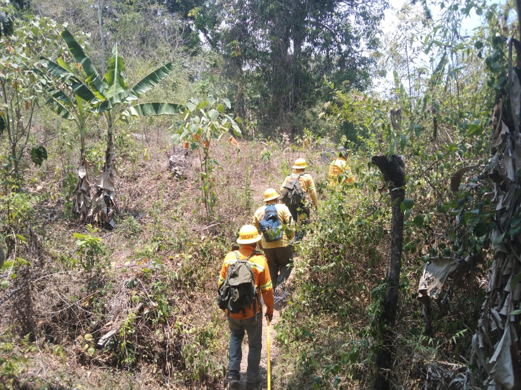 Controla Coesfo incendio forestal en San Isidro Huayápam