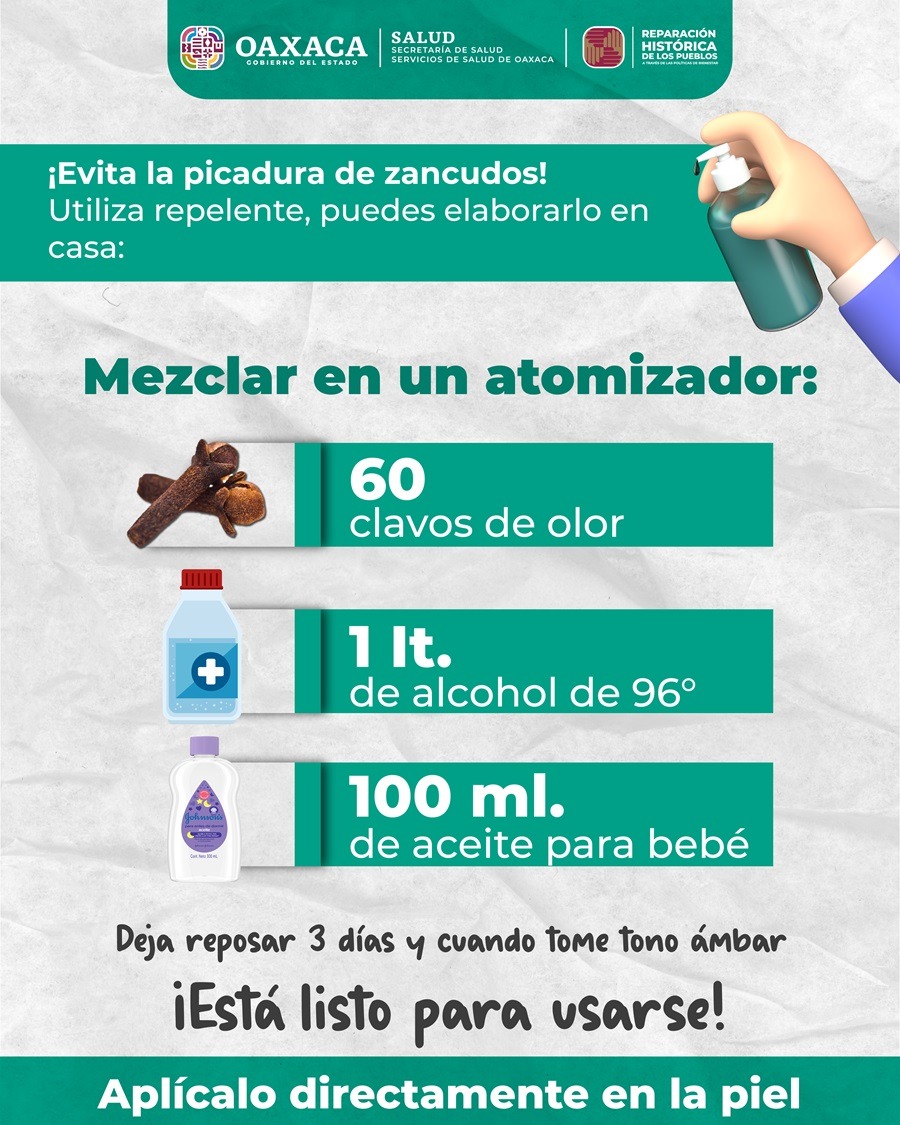Repelente casero, alternativa efectiva para prevenir el dengue: SSO