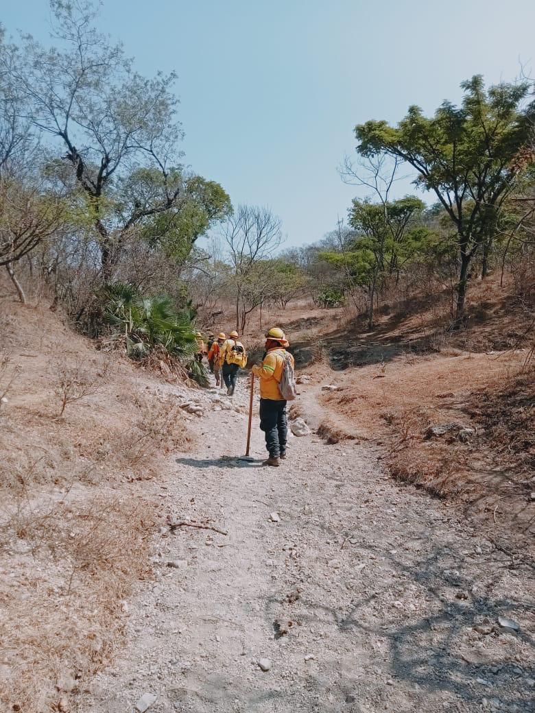 Atiende Coesfo incendio forestal en San Mateo Nejápam