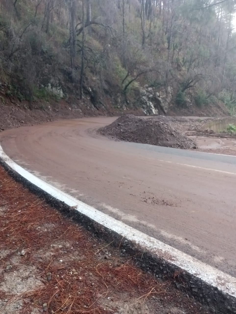 Abierta la circulación en la carretera 175 en la Sierra de Juárez