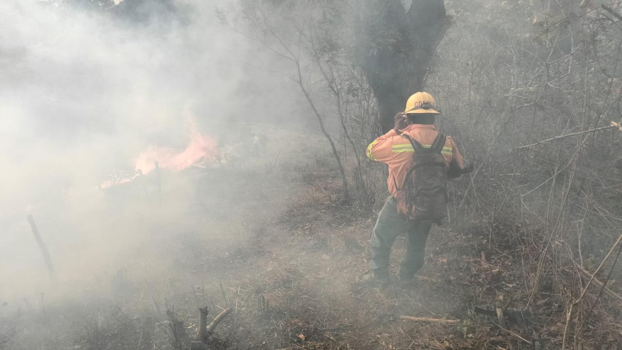Apoya Coesfo con quema controlada en San Miguel Chimalapa