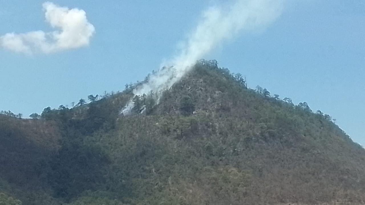 Atiende Coesfo incendio forestal en San Lorenzo Albarradas