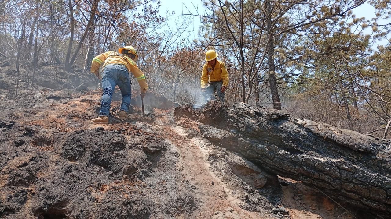 Controla Coesfo incendio forestal en San Juan Quiahije