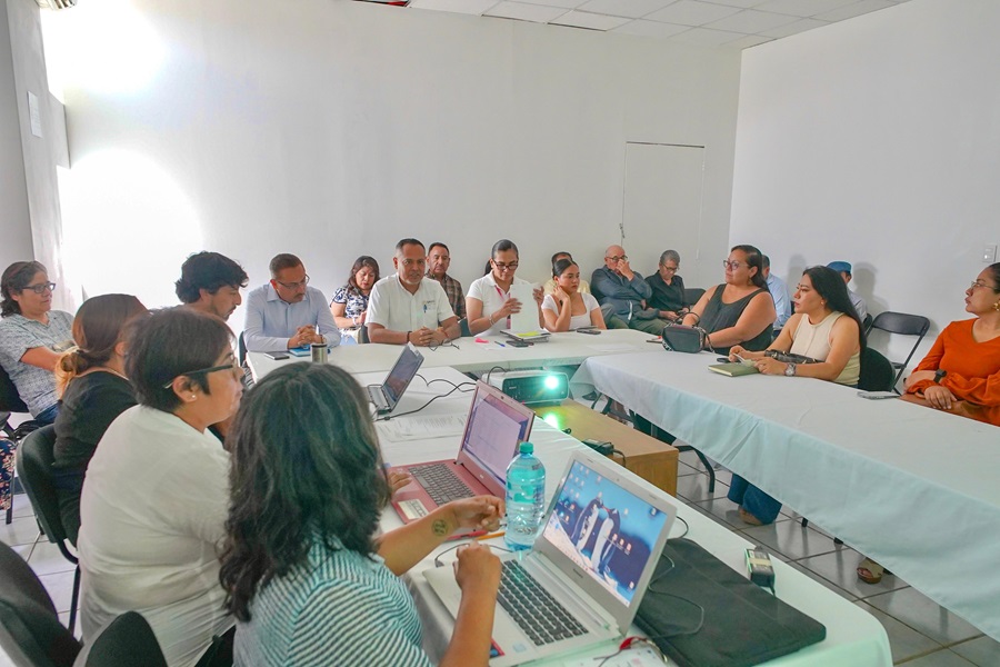 Participación social, elemental en el combate contra el dengue: SSO