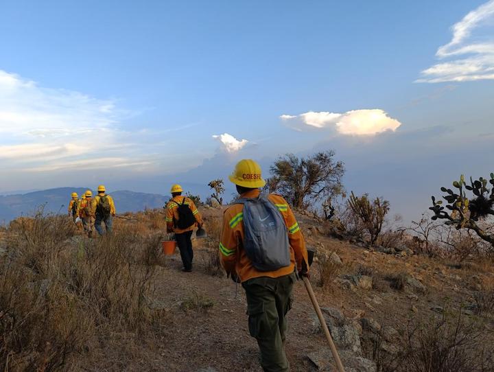 Controla Coesfo incendio forestal en Santa María Tecomavaca