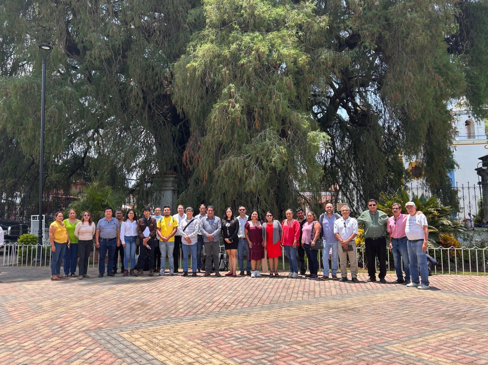 Coordina Secretaría de Medio Ambiente acciones de cuidado y conservación del árbol del Tule