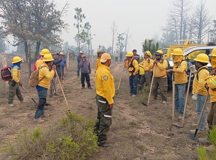 Más de 2 mil hectáreas afectadas por 46 incendios durante mayo: Coesfo